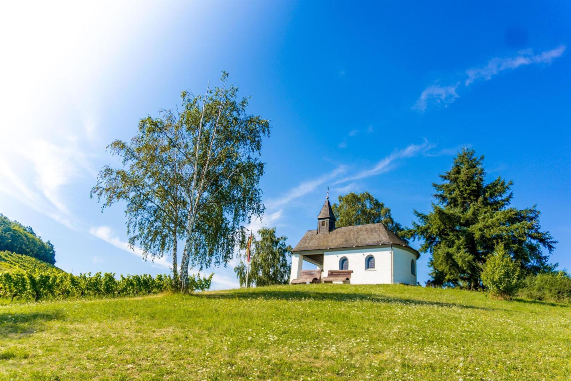 Ferienwohnung Leni Leiwen Zewnętrze zdjęcie
